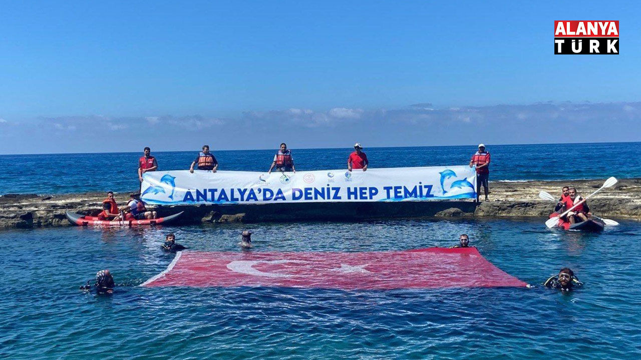 Dip Temiz