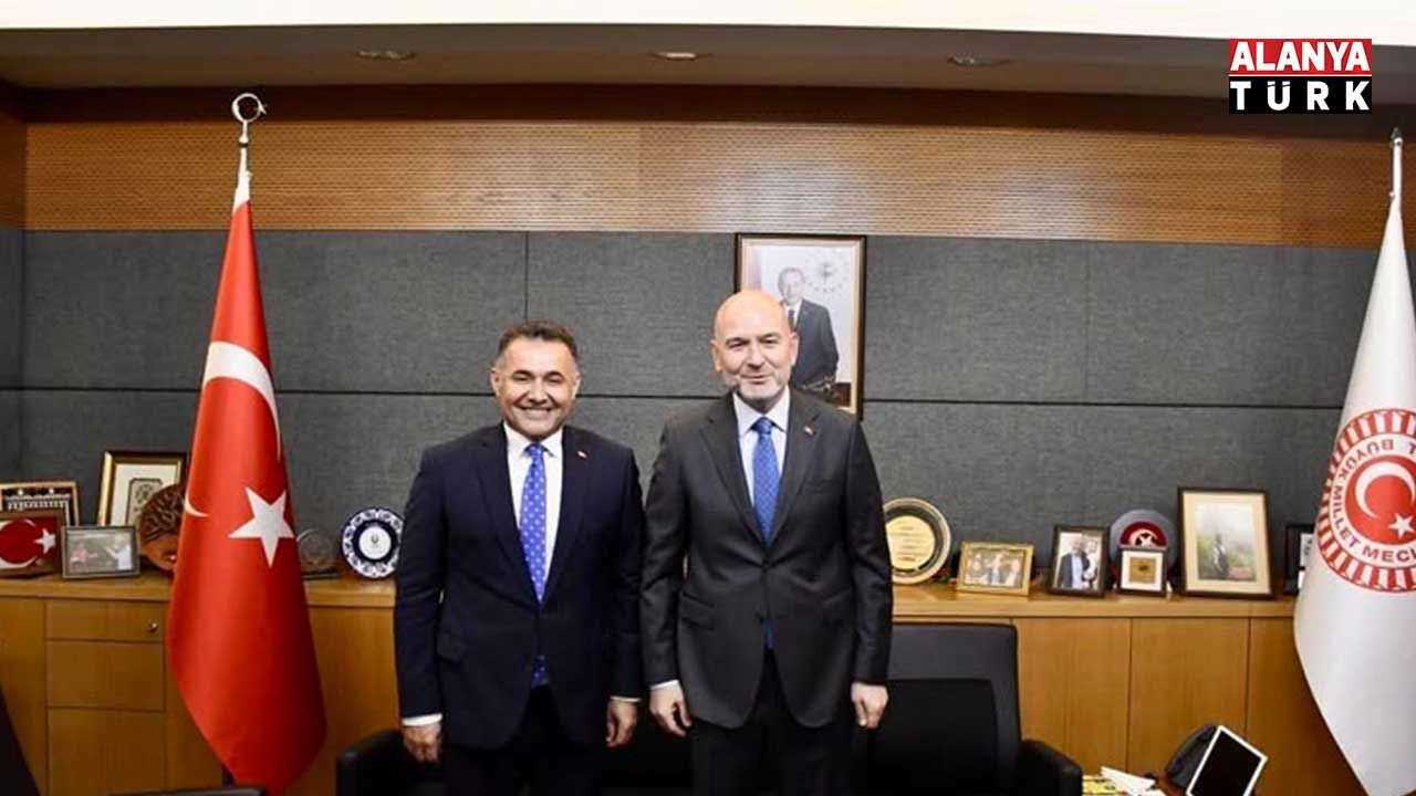 Yücel 5