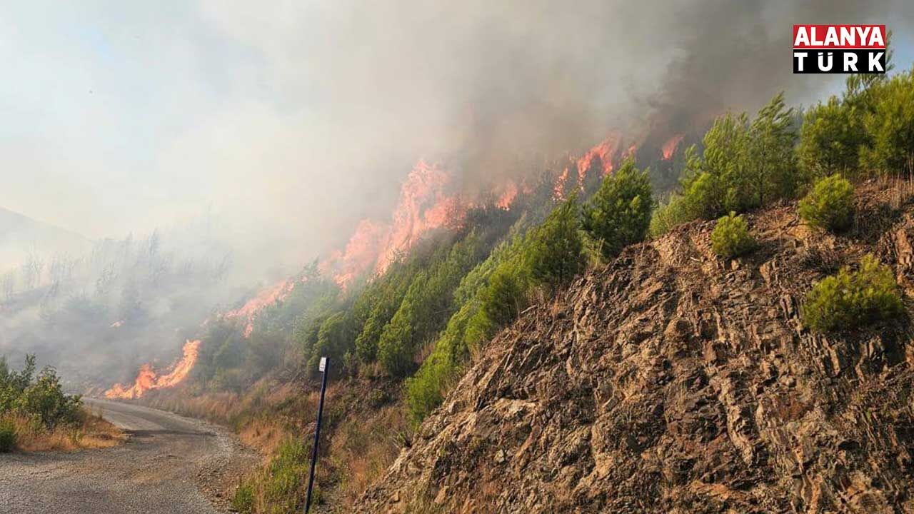 Sapadereden 4