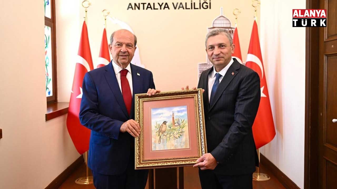 Tatar 7