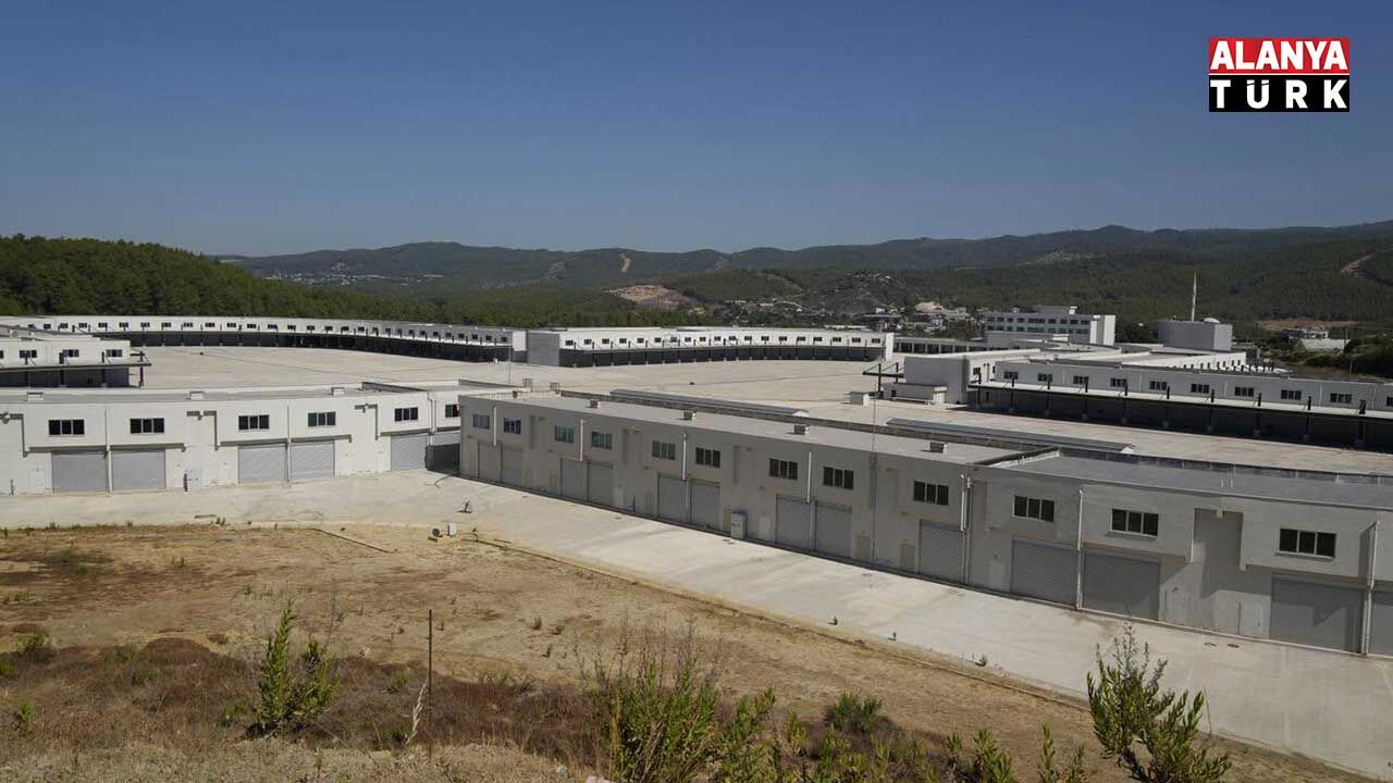 Yeni̇ Hal 2