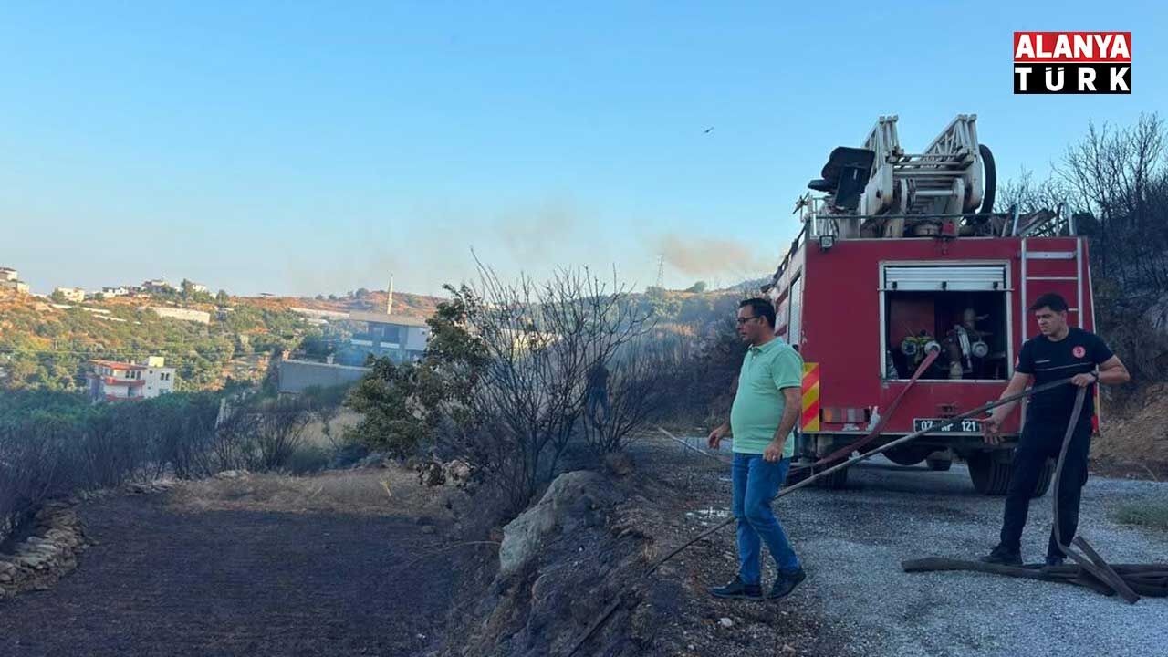 Yeşi̇löz 2