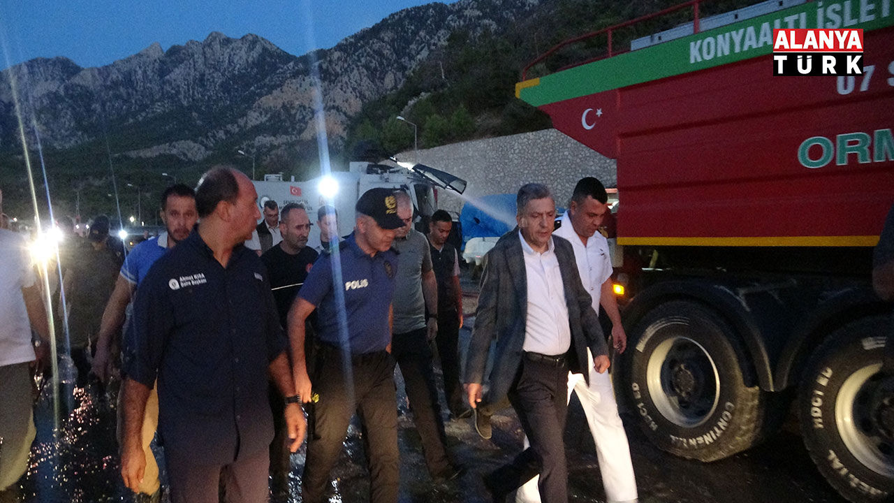 Yan Gın2