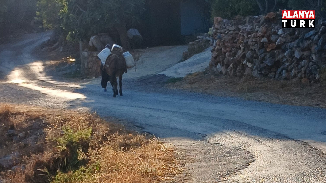 Yenice 5