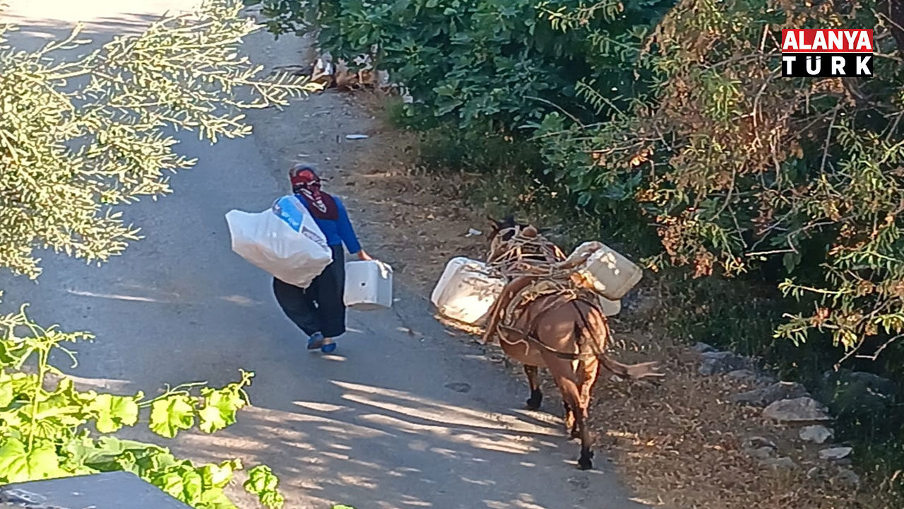 Yenice4