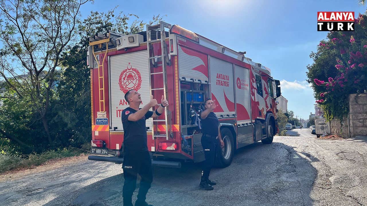 Alanya Yangın-3