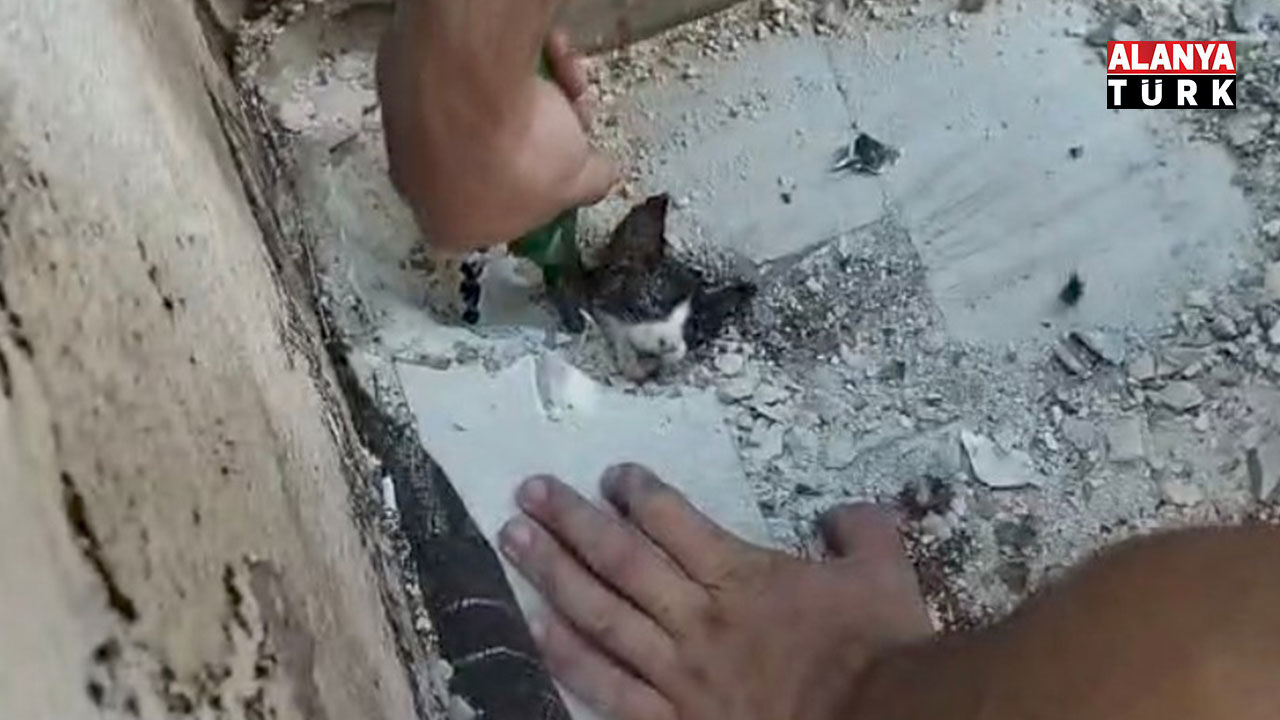 Yağmur suyu giderine sıkışan yavru kediyi itfaiyeciler kurtardı