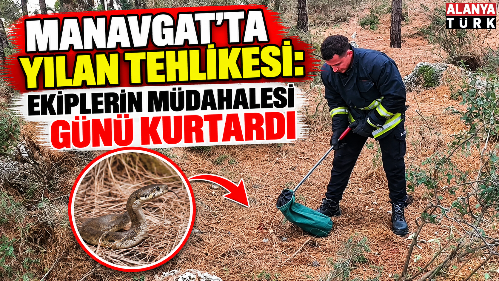 Manavgat'ta yılan tehlikesi: Ekiplerin müdahalesi günü kurtardı