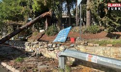 Alanya’da fırtınaya dayanamayan ağaç ile aydınlatma direği devrildi