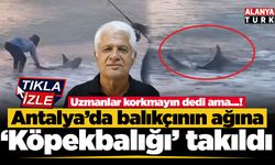 Amatör balıkçının oltasına köpek balığı takıldı