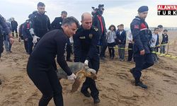 Yaralı bulunan Caretta caretta yeniden özgürlüğe kavuştu