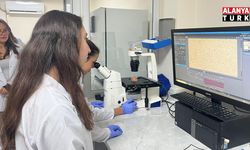 Parkinson’da bağırsak- beyin iletişimi çip üstü organ teknolojisiyle araştırılıyor