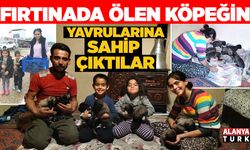 Fırtınada ölen köpeğin yavrularına sahip çıktılar