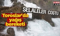 Toroslarda yağış bereketi, Şelaleler coştu!