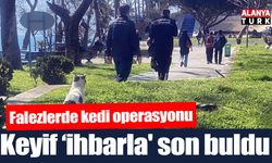 Falezlerde kedi operasyonu