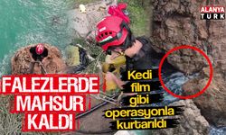 Falezlerde mahsur kalan kediyi ekipler kurtardı