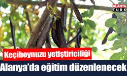 Alanya’da keçiboynuzu yetiştiriciliği eğitimi düzenlenecek