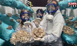 Hobi olarak başladı 1 ton hasat elde etti