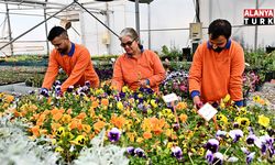 Muratpaşa'dan örnek bitki üretim modeli