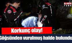 Silahla göğsünden vurulmuş halde ölü bulundu