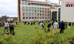 Akdeniz Üniversitesi'nde son 2 yılda 5 bin fidan dikildi