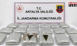 Jandarma 30 kilogram skunk ele geçirildi