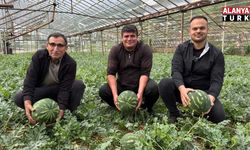 Kış karpuzu hasadı için geri sayım başladı