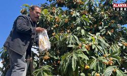 Alanya’da talep azalınca bedava dağıttı, poşetini alan bahçeye koştu