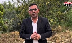 Alanya’ya yeni ürün kazandırmak için dikilmişti! İlk hasat mayısta yapılacak