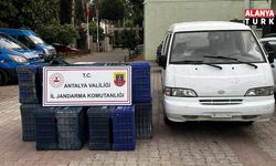 Kumluca’da Sahte Plakalı Hırsızlık Aydınlatıldı: Şüpheliler Yakalandı