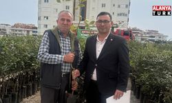 Alanya’da 5 bin keçiboynuzu fidanı üreticilere dağıtıldı