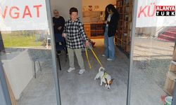 Ukraynalı kadın hayatının şokunu yaşadı, kurt köpeğiyle dalaşan kucağındaki köpeği parmağını parçaladı