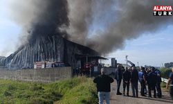 Antalya'da patates üretim tesisinde yangın