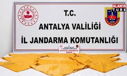 Alanya’da Uyuşturucu Operasyonu: 24 Bin Dozluk Madde Ele Geçirildi