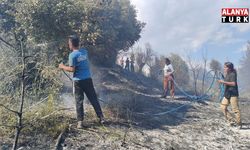 Antalya'da ormanlık alanda yangın