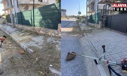 Belediye değil vatandaş temizledi
