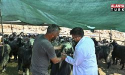 Muratpaşa'da Kurban Bayramı hazırlıkları tamamlandı