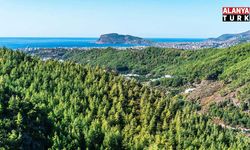 Alanya'da ormanlara girişler 31 Ekim’e kadar yasaklandı