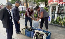 Ürettiği patlıcanlar maliyetini kurtarmayınca serasının kapılarını vatandaşlara açtı