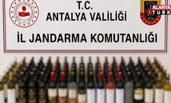 Alanya’da kaçak alkol operasyonu