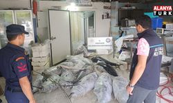 Antalya'da avlanması ve satışı yasak olan 603 kilogram balığa el konuldu