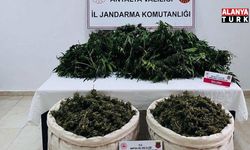 Antalya'da uyuşturucu operasyonunda 11 kilo 100 gram kubar esrar ele geçirildi