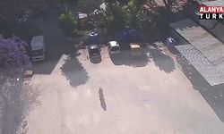 Alanya'da bunu da gördük! Sokak hayvanlarının mama kabını çaldı