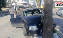 Palmiyeye çarpan Tofaş hurdaya döndü: 4 genç yaralandı