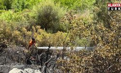 Alanya'da zirai alanda çıkan yangın söndürüldü