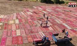 Yüzlerce yıllık halılar buğday tarlalarını renk cümbüşüne çevirdi