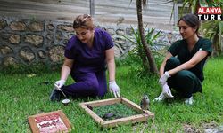 Antalya Doğal Yaşam Parkı’nda tam donanımlı klinik hizmeti