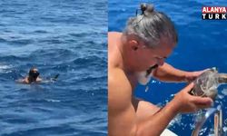 Alanya'da çuvala dolanan caretta carettayı tur teknesi kaptanı kurtardı