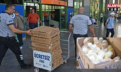 Otobüsle Bursa'dan Antalya'ya karton koliler ile 700 civciv gönderdiler