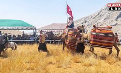 İpar Gülü Şenliği için geri sayım